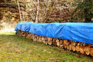stos kłód w lesie pokryty niebieską plandeką